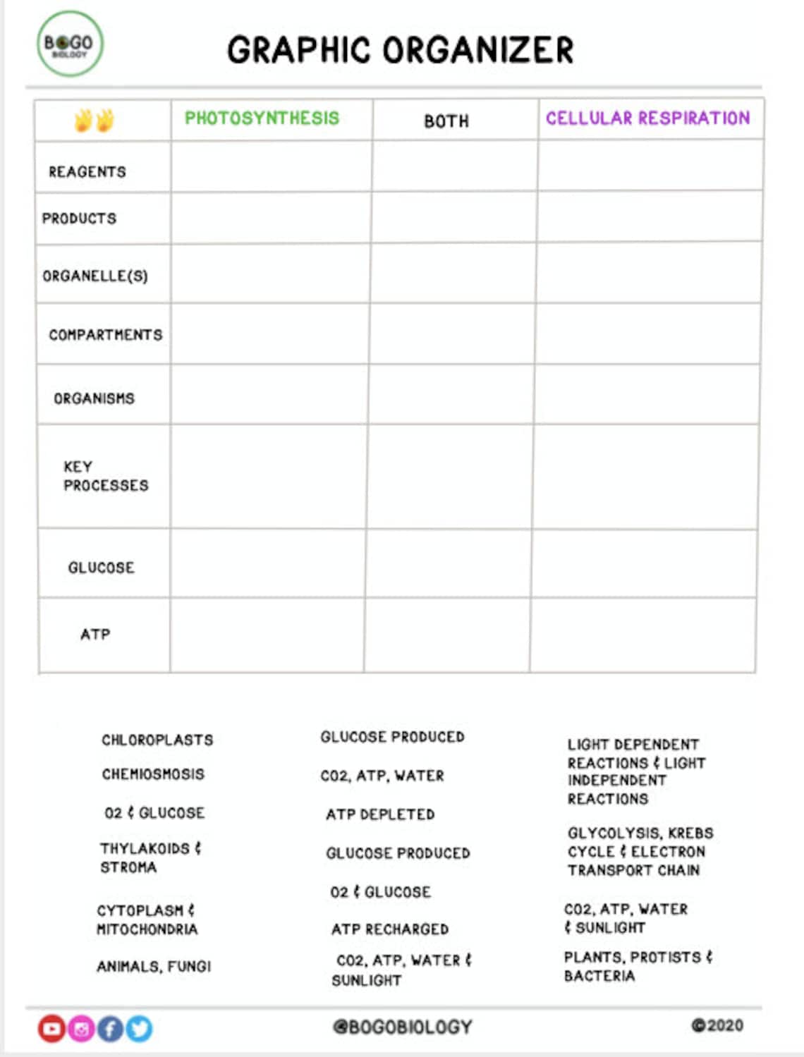 Photosynthesis Vs. Cellular Respiration Guided Notes and Diagrams ...