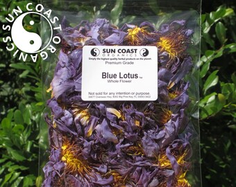Blue Lotus | Whole  Flower | Nymphaeaceae Caerulea