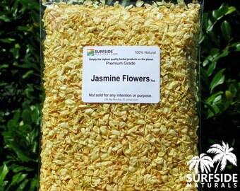 Jasmine Flowers | Jasminum