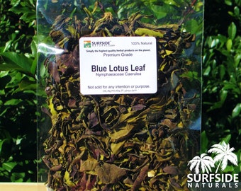 Blue Lotus Leaf | Nymphaeaceae Caerulea