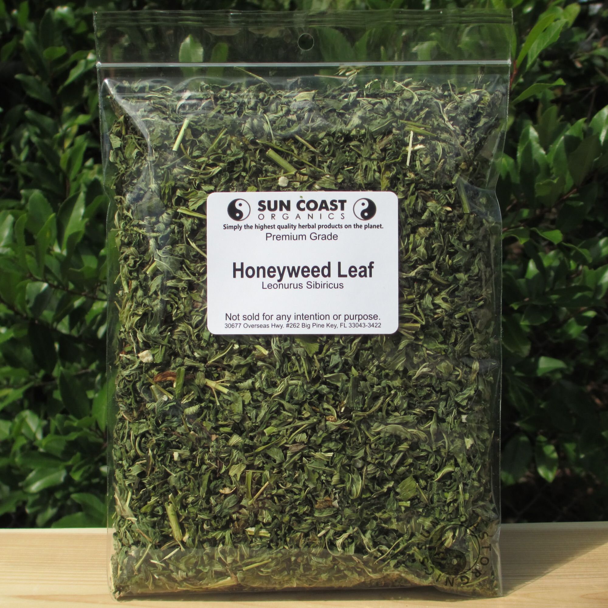 Honeyweed Leaf | Siberian Motherwort | Medicinal Grade