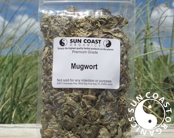 Mugwort | Artemisia Vulgaris