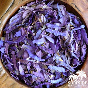 Blue Lotus Flower Petals | Organic | Tea | Nymphaea Nouchali