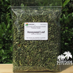 Honeyweed Leaf | Siberian Motherwort | Medicinal Grade