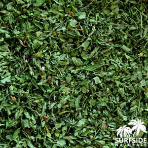 Skullcap Leaf | Certified Organic | Hand Picked | Tea | Scutellaria Lateriflora