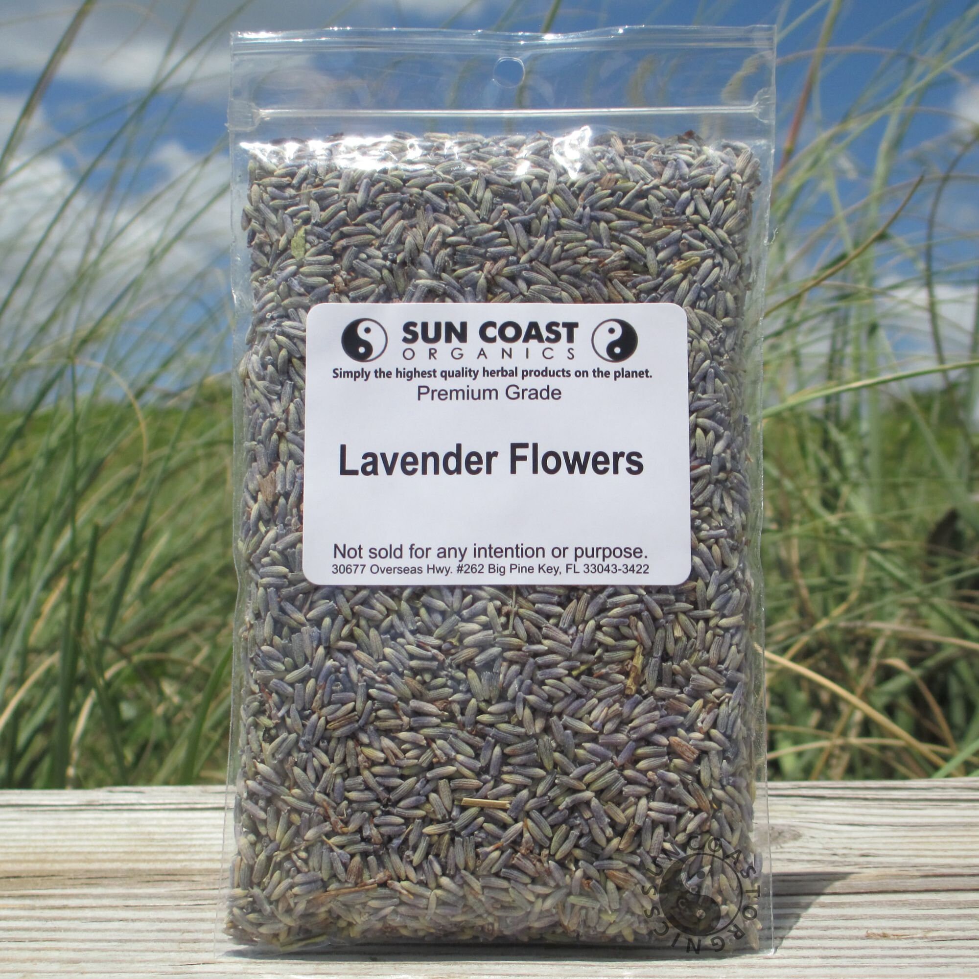 Lavender Flowers | Lavandula