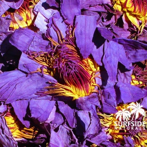 Blue Lotus Flower Pollen