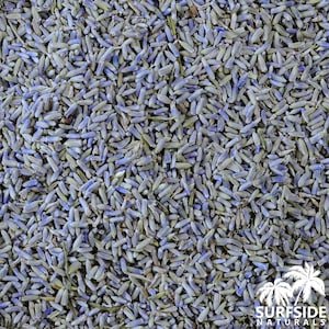 Lavender Flowers | Lavandula