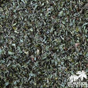 Spearmint Leaf | Mentha Spicata