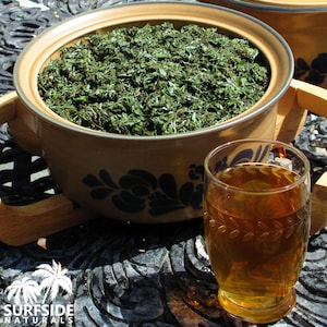 Mugwort | Leaf | Organic or Wild Crafted | Artemisia Vulgaris