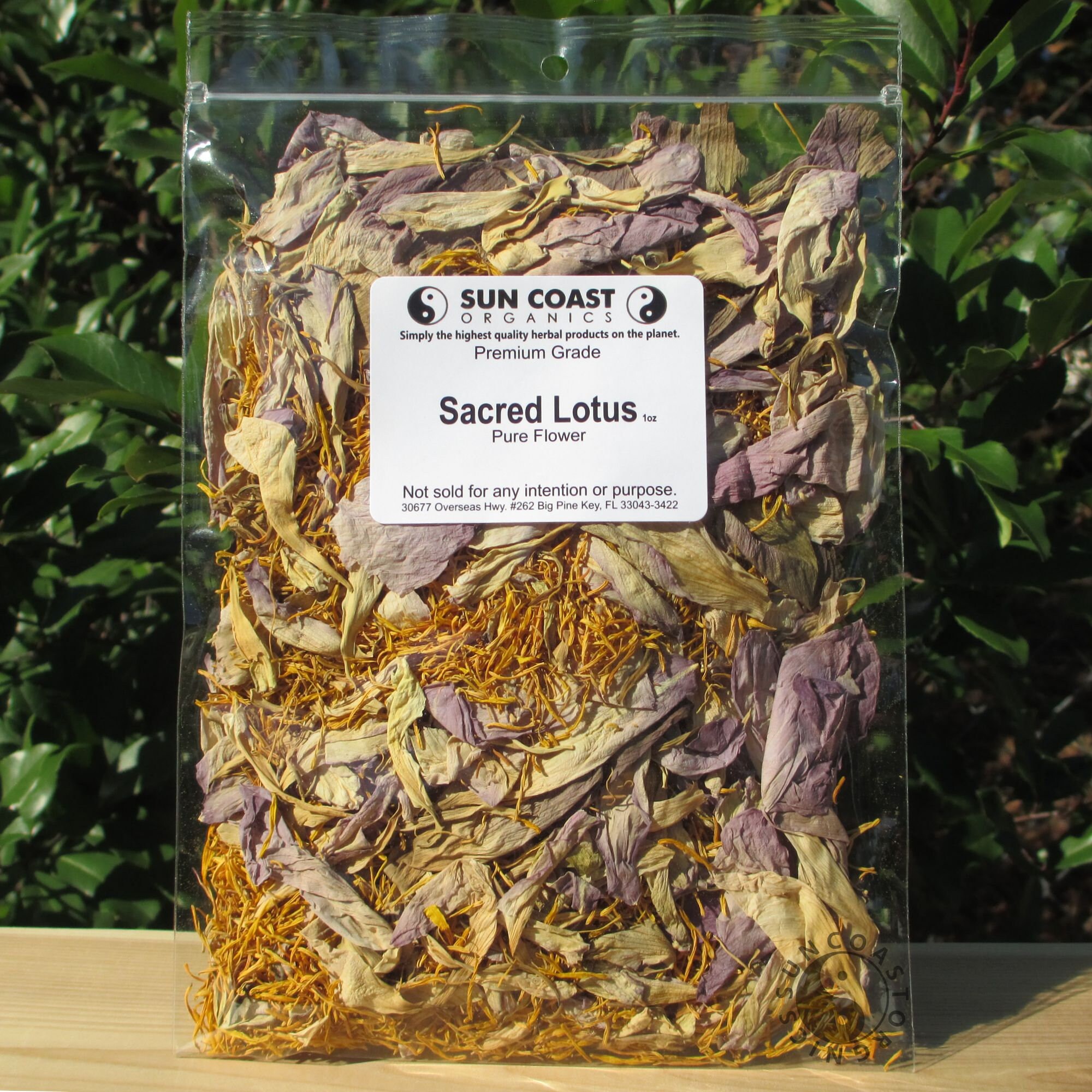 Hand Processed Whole Sacred Lotus Flowers | Nelumbo Nucifera