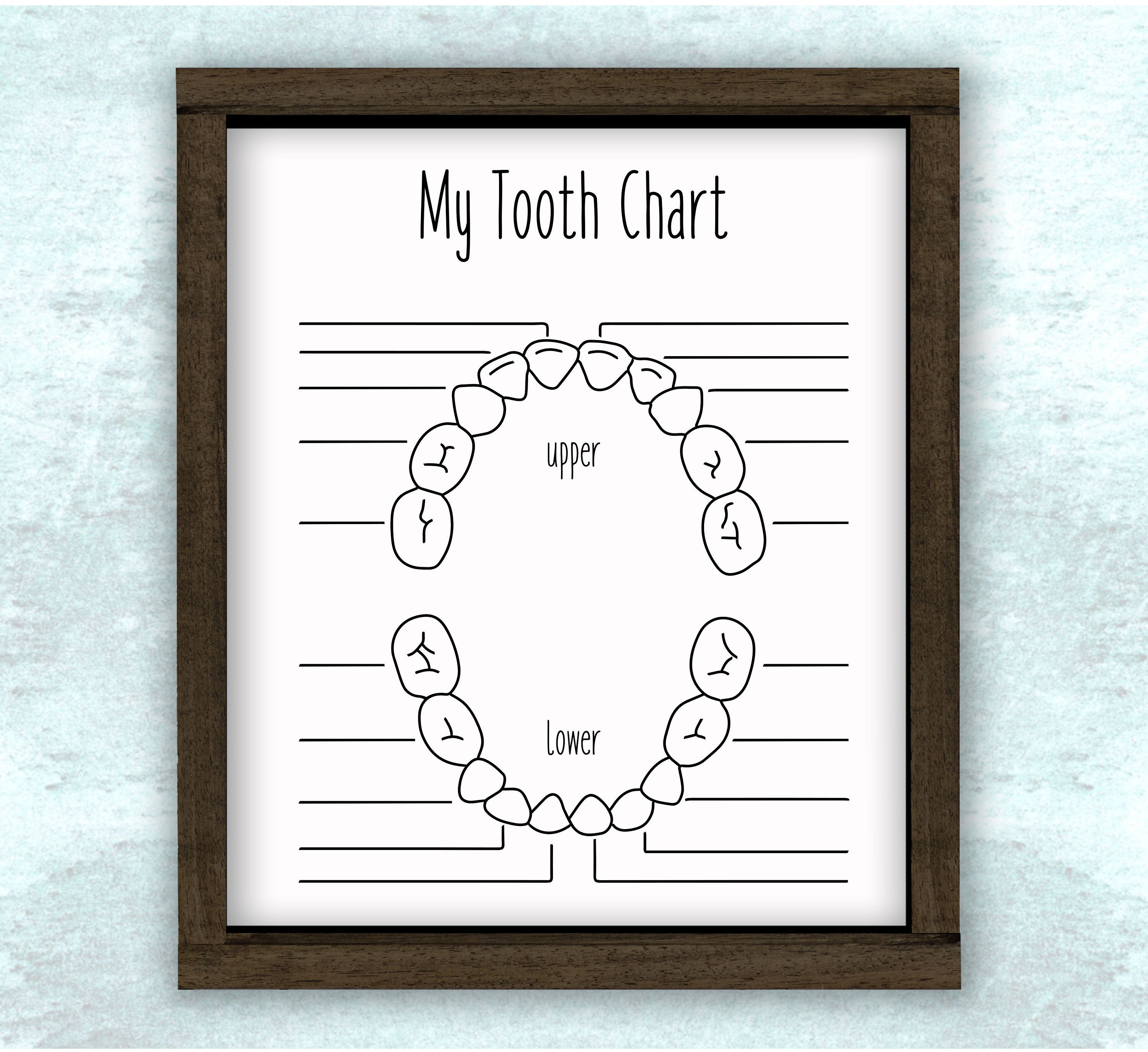 зубная фея. My tooth is. Teeth chart svg. зуб графика. My tooth is.