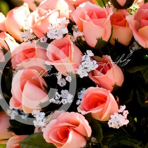 Assortiment de cartes vierges florales 5x7