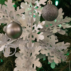Collection de cartes vierges Snowy Christmas 5x7
