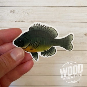 Lake Fish High Quality Vinyl Sticker, Bluegill, Waterproof, Scratchproof, Journal Sticker, Cabin Life, Laptop & Waterbottle Sticker