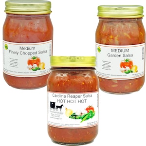 Amish Fresh Made Salsa 16 oz. Jar (2 Jars)