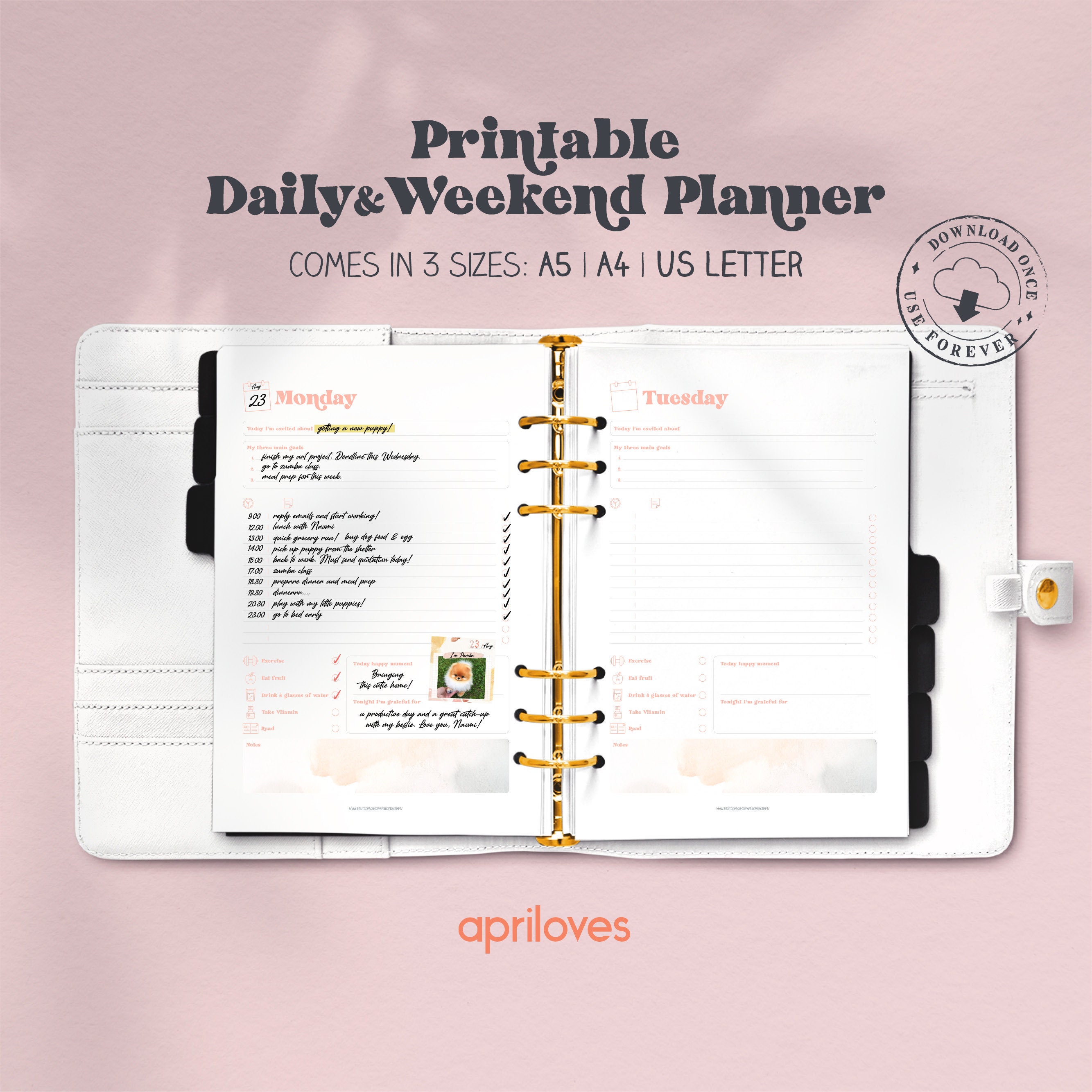PRINTABLE Planner Templates, Daily Planner, Weekend Planner, Work &amp; Productivity Planner ...