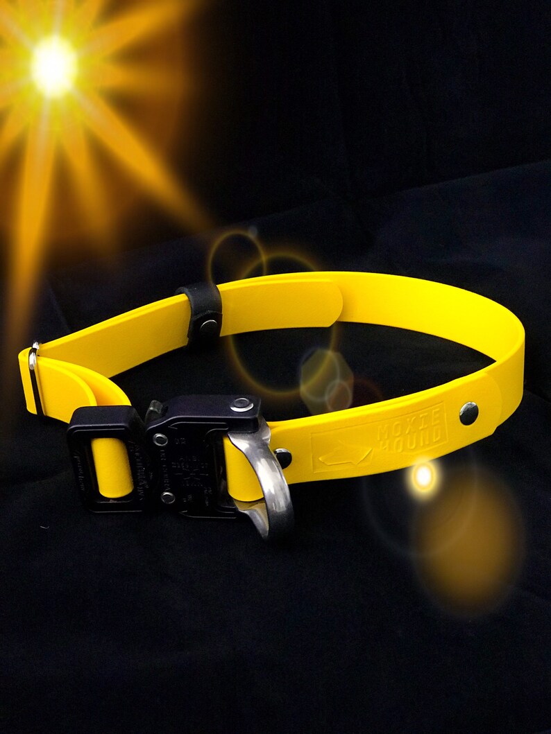 1 Biothane Cobra Buckle Collar Working Dog Collar Etsy