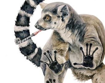 Stampa artistica ad acquerello di un lemure: ritratto di animale selvatico "perplesso".