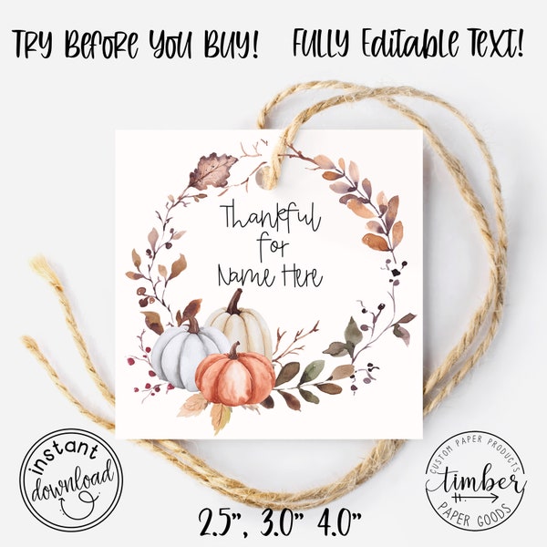 EDITABLE 2.5", 3.0", 4.0" Thankful For You Tags. Thanksgiving Place Card Tags.  Autumn Gift Tags. Fall Gift Tags. PRINTABLE. Holiday Tags.