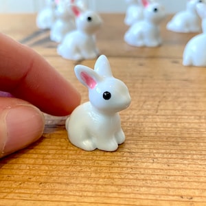 Può includere: Una piccola statuetta di coniglio in ceramica bianca con orecchie rosa e occhi neri. Il coniglio è seduto su una superficie di legno.