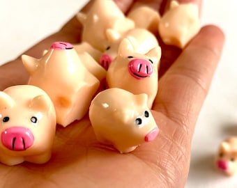 Micro Pig, animali in miniatura, terrario, animali da fattoria, mini maiali da corsa, regalo per lui