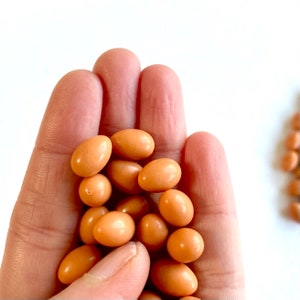 Miniature eggs 11mx 8mm Easter nest  Simulation prop Tiny resin chicken eggs Dollhouse miniature