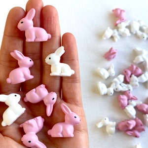 Schattige konijntjesbedels Konijnen Miniatuurdieren Witroze hars dierenbeeldje Miniatuur konijnenbedels cadeau voor haar