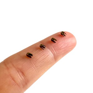 May include: Four small, gold-colored metal rivets with three prongs on a finger.