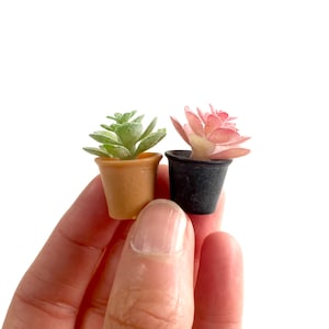 Casa delle bambole in miniatura, piante da appartamento, cactus, scala 1/6 - Set di 2 - Accessori realistici per la casa delle bambole