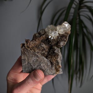Rohe Herkimer Diamant Stufe auf Dolomit Druzy Matrix. Natürliches Quarzmuster | Doppelender Kristall | Seltenes Kristallmuster.
