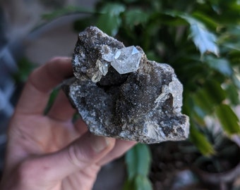 Herkimer diamond cluster | druzy dolomite matrix.