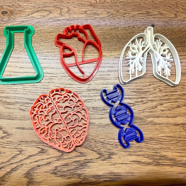 Science Biology Cookie Cutter Set / Body Parts Organs Cookie Cutters / Anatomical Heart / DNA Helix / Fondant / Birthday Party / Favors