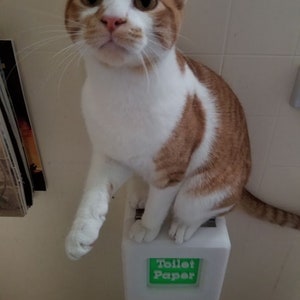 Extra Large Patented Cat-Proof Toilet Paper Holder image 5
