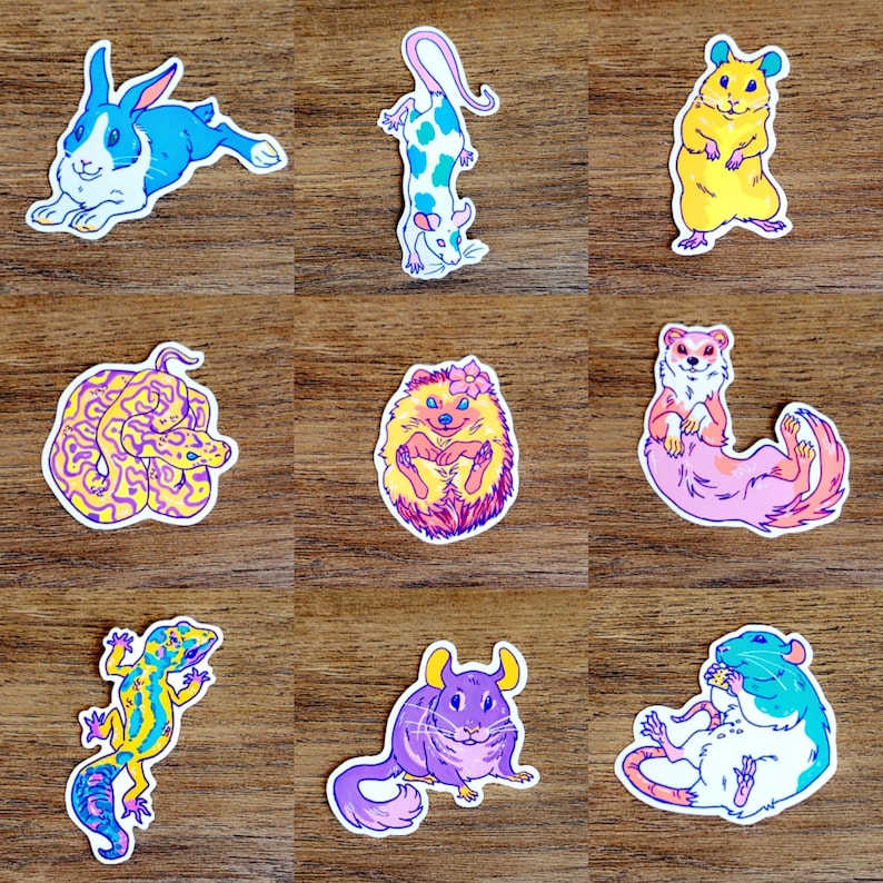 May include: A set of ten colourful stickers featuring various animals, including a rabbit, a snake, a hedgehog, a ferret, a mouse, a hamster, a gecko, a cat, and a rat. The stickers are perfect for adding a touch of whimsy to laptops, water bottles, journals, and more.