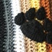 Bear Brotherhood Flag Colors Scarf