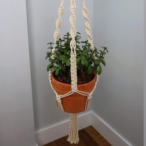 May include: A macrame plant hanger with a terracotta pot and a green plant hanging from it. The hanger is made of natural white cotton rope and has a tassel at the bottom.