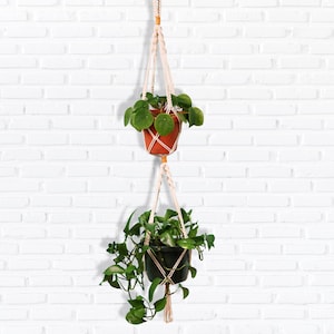 Peut inclure: Deux suspensions macramé pour plantes avec des plantes vertes dans des pots bruns et noirs. Les suspensions sont en corde de coton blanche et sont suspendues à un mur de briques blanches.