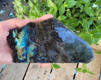 Polished Labradorite Slab Medium