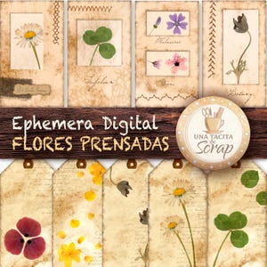 Kit digital Ephemera Flores Prensadas y Papel Teñido