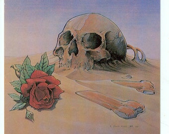 Grateful Dead 1981 Original Europe Concert DESERT SKULL