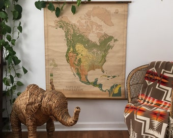 Antique Pull Down Roll Map North America Vegetation Wall Atlas ||  1930s Vintage
