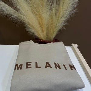 May include: A beige sweatshirt with the word "MELANIN" printed in brown block letters. The sweatshirt is folded neatly on a white surface, with a decorative arrangement of dried, feathery beige plants in the background.