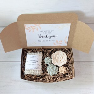 Small Succulent Gift Box in Blush Peach Leaves Design