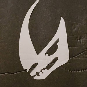 Mudhorn skull