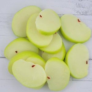 4 piece Realistic Green Apple Slices, Fake Bake Supplies,  Photo Props, Fake Fruit, Home Staging,  Fall, Harvest, Apple, Craft Supplies