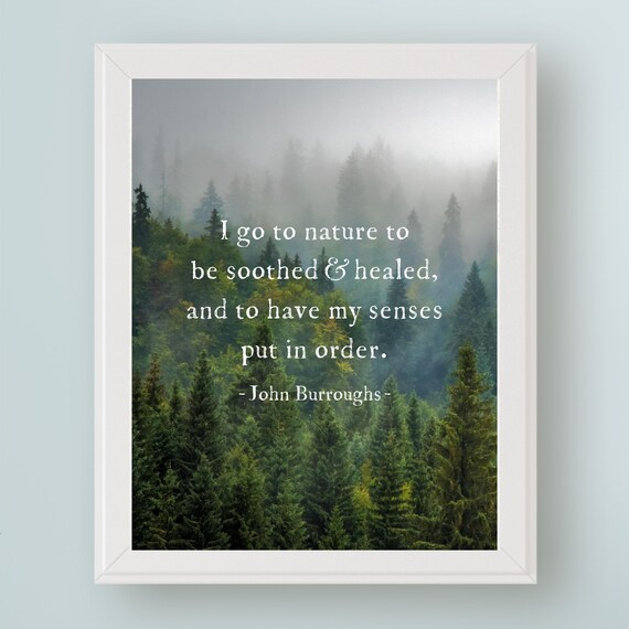 John Burroughs Quote I Go to Nature to Be Soothed and Healed