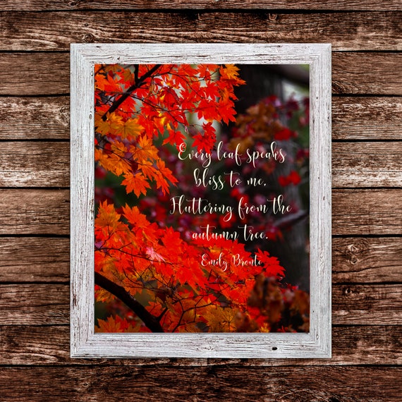 Emily Bronte Citation Chaque Feuille Me Dit Le Bonheur Etsy