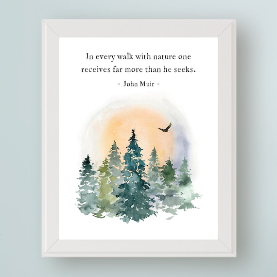 John Muir Quote Art Print In Every Walk with Nature One Receives Far More than He Seeks Environmental Sign Gift for Tree Huggers!