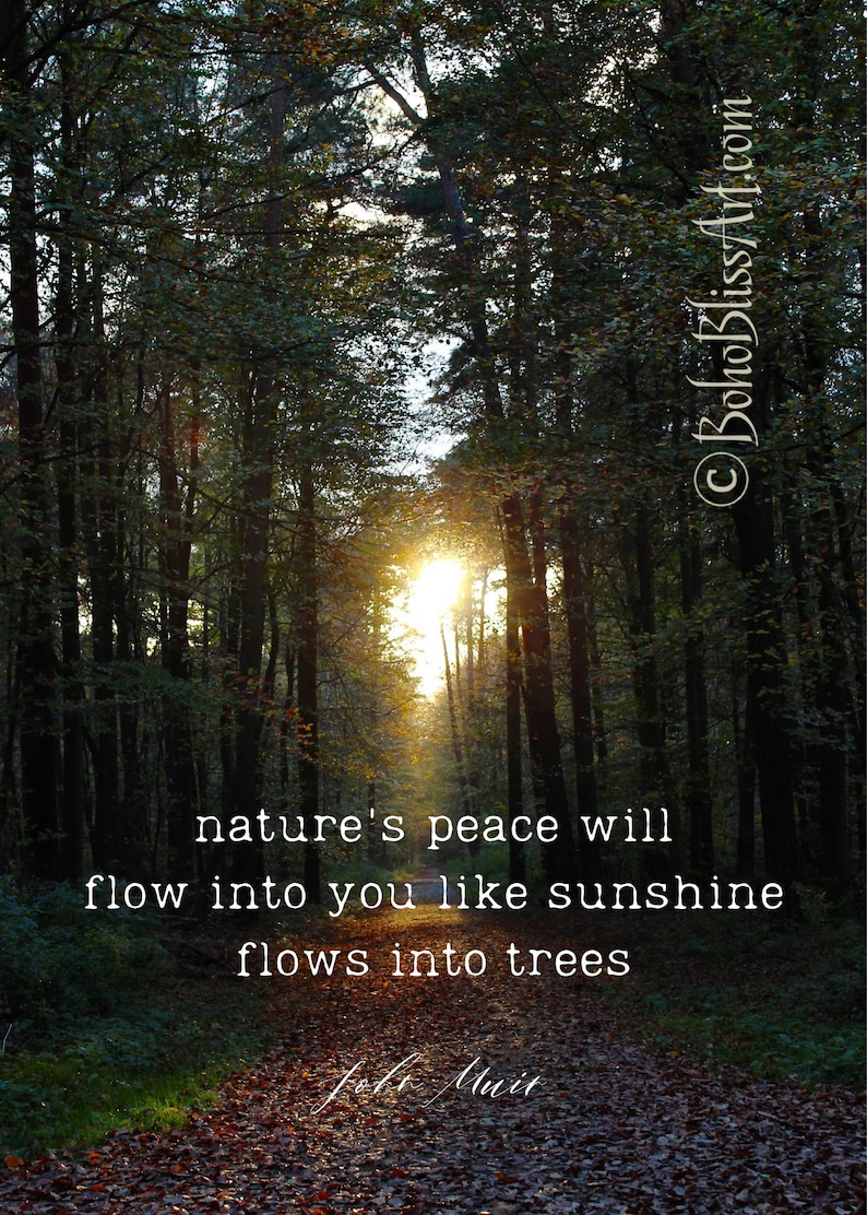 John Muir Quote Nature's peace will flow into you as Etsy
